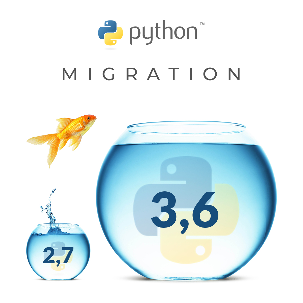 Python migration.jpg