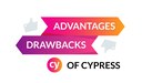 The Advantages and Drawbacks of Cypress.jpg