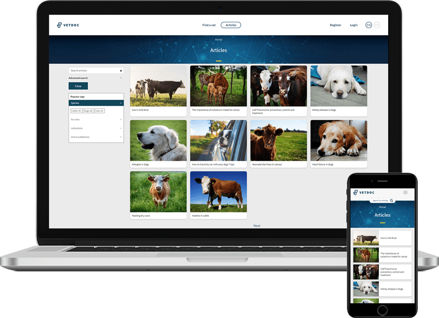 VetDoc homepage