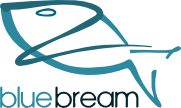 BlueBream Python web application framework
