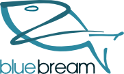BlueBream.png