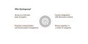 quintagroup-shopify-auction-app.jpg