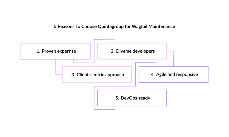 Reasons-Choose-Quintagroup-Wagtail-Maintenance.jpg