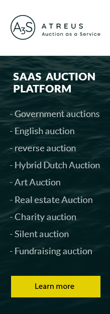 SaaS  Auction.jpg