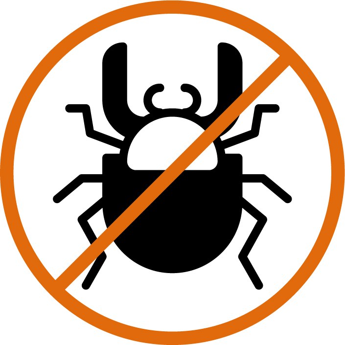 Sotware Testing bug.png