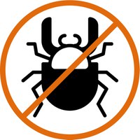 Software testing bug