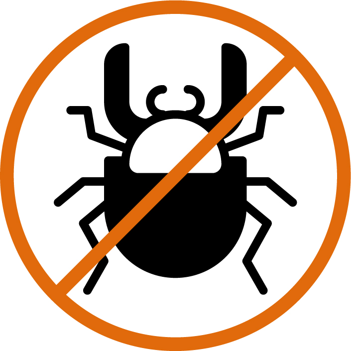 Sotware Testing bug.png