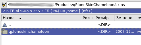 qploneskinchameleon.png