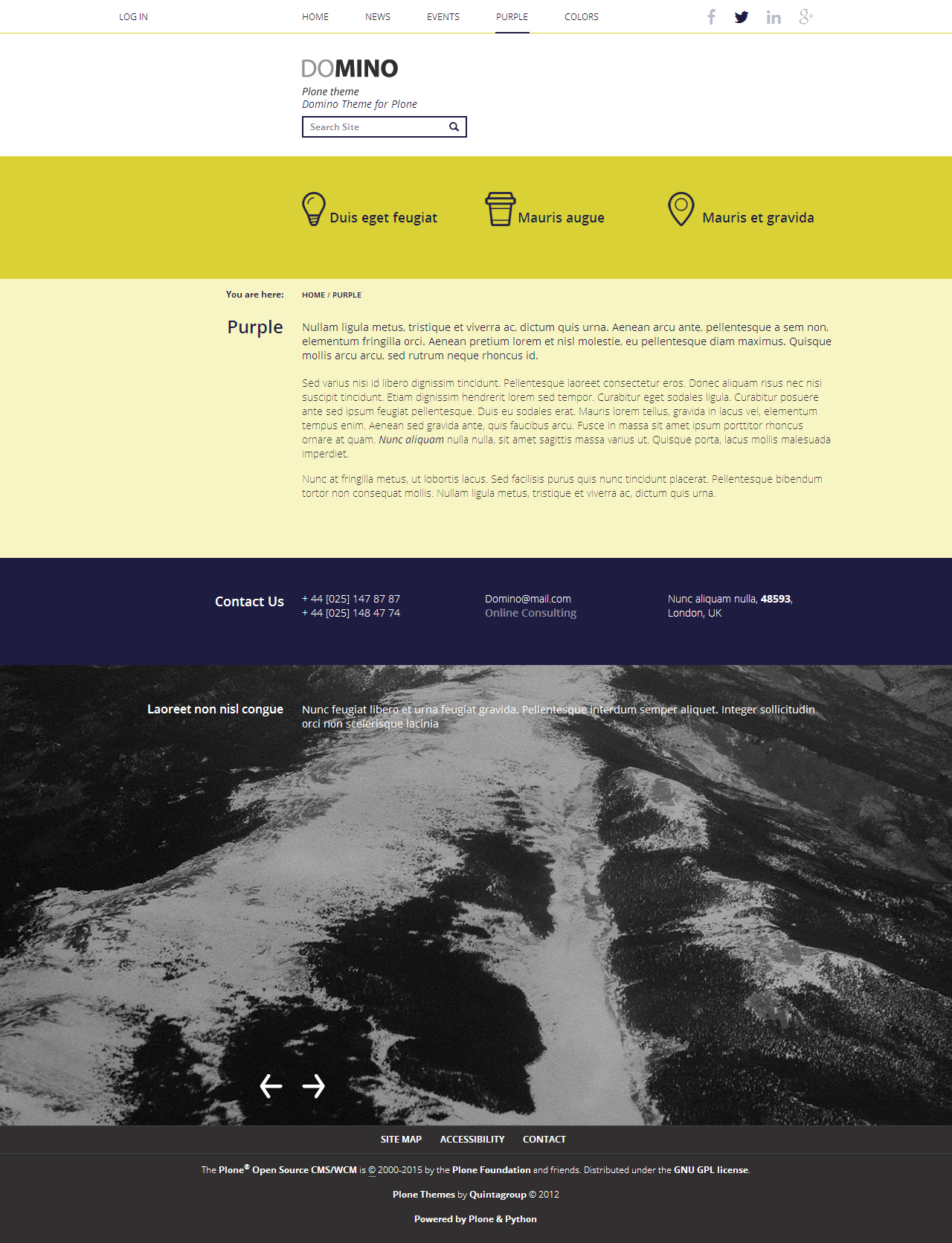Domino Plone theme purple.png