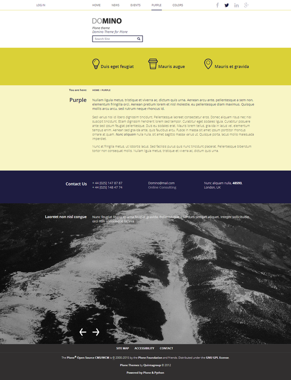 Domino Plone theme purple.png