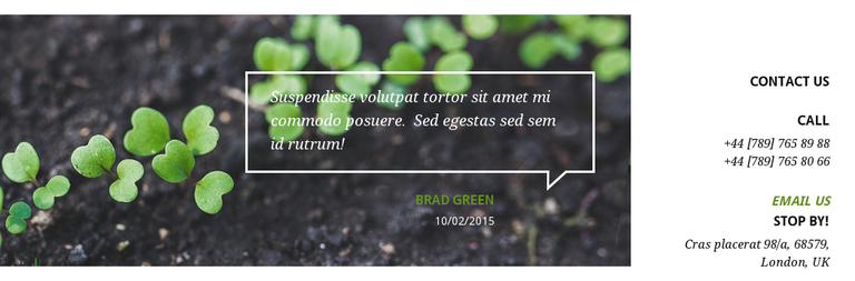 Green Bean Plone Theme testimonial portlet.png
