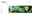 Green Bean theme logo.png