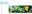 Green Bean theme plone logo.png