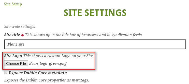 Logo site settings