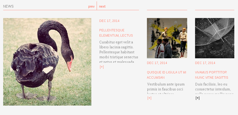 Custom slider for Publisher's plone theme.png