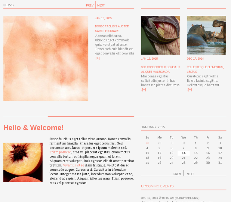 customize theme’s main color