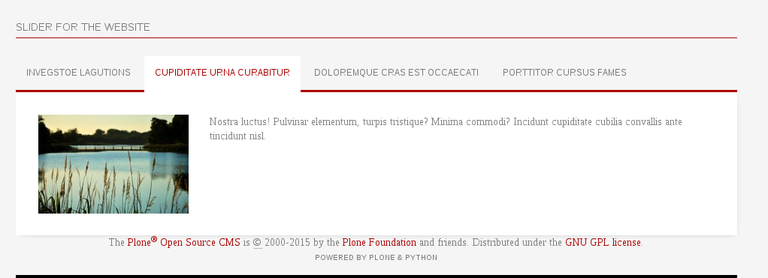Custom slider for Publisher's plone theme.png