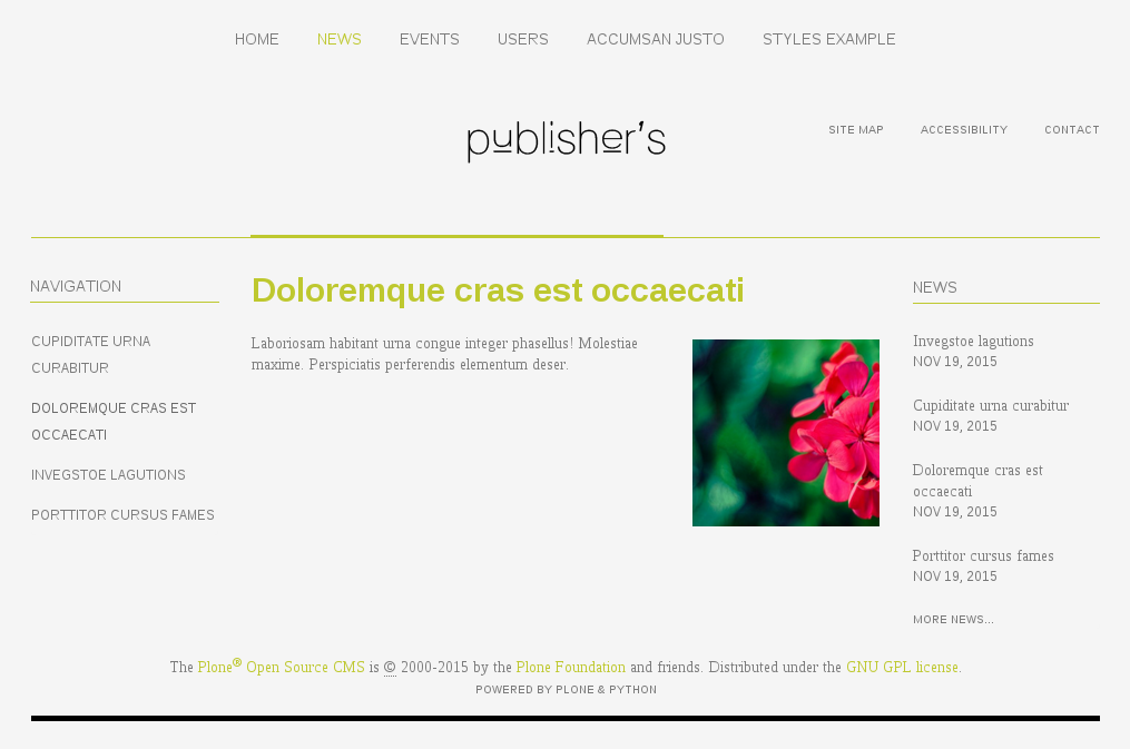 Publisher's theme’s main color
