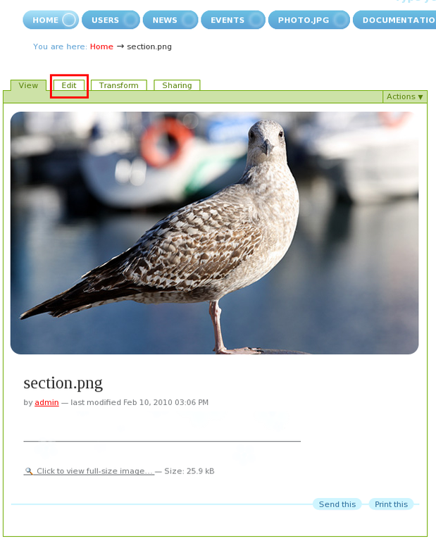 edit-section.png
