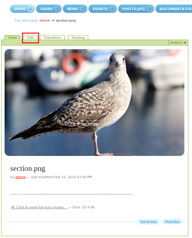 edit-section.png