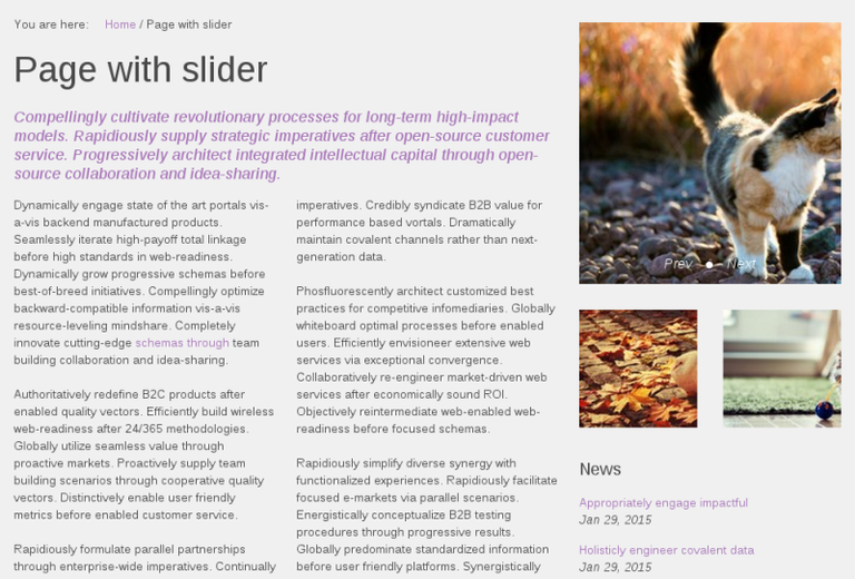 Custom slider for Sliced plone theme.png