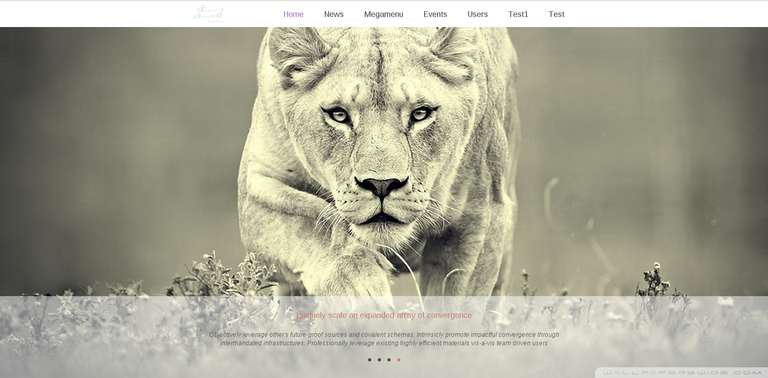 Sliced plone carousel