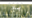 Sliced theme logo.png