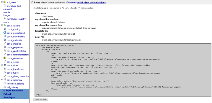 footer-customize.png
