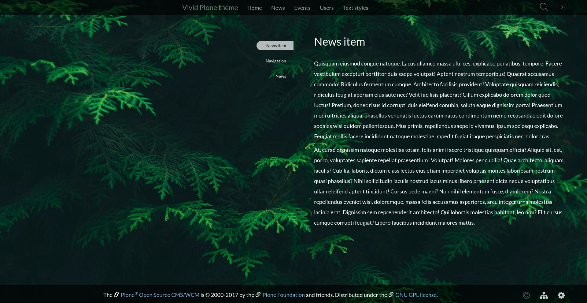 Vivid Plone theme full-screen image
